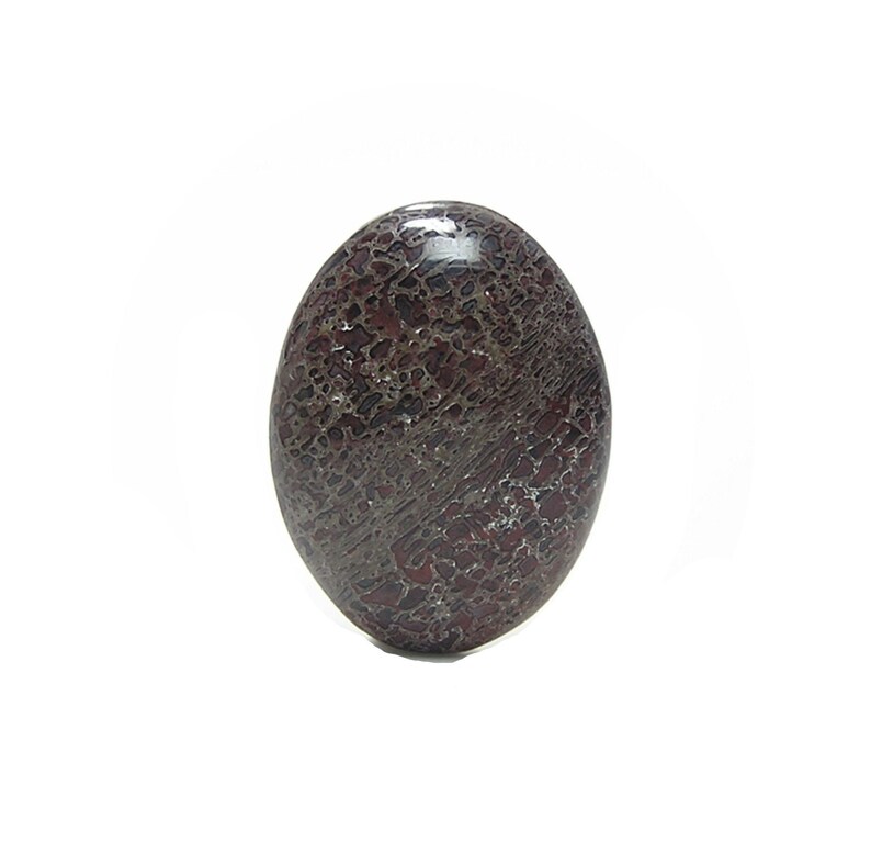 Fossil Dinosaur Gembone Semiprecious Gemstone Agate Dinosaur Oval Cabochon
