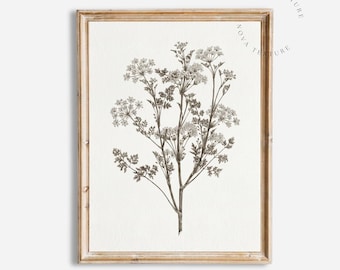 Botanical Wall Art Printable, Vintage Wildflower Print, Antique Botanical Illustration, Neutral Nature Decor