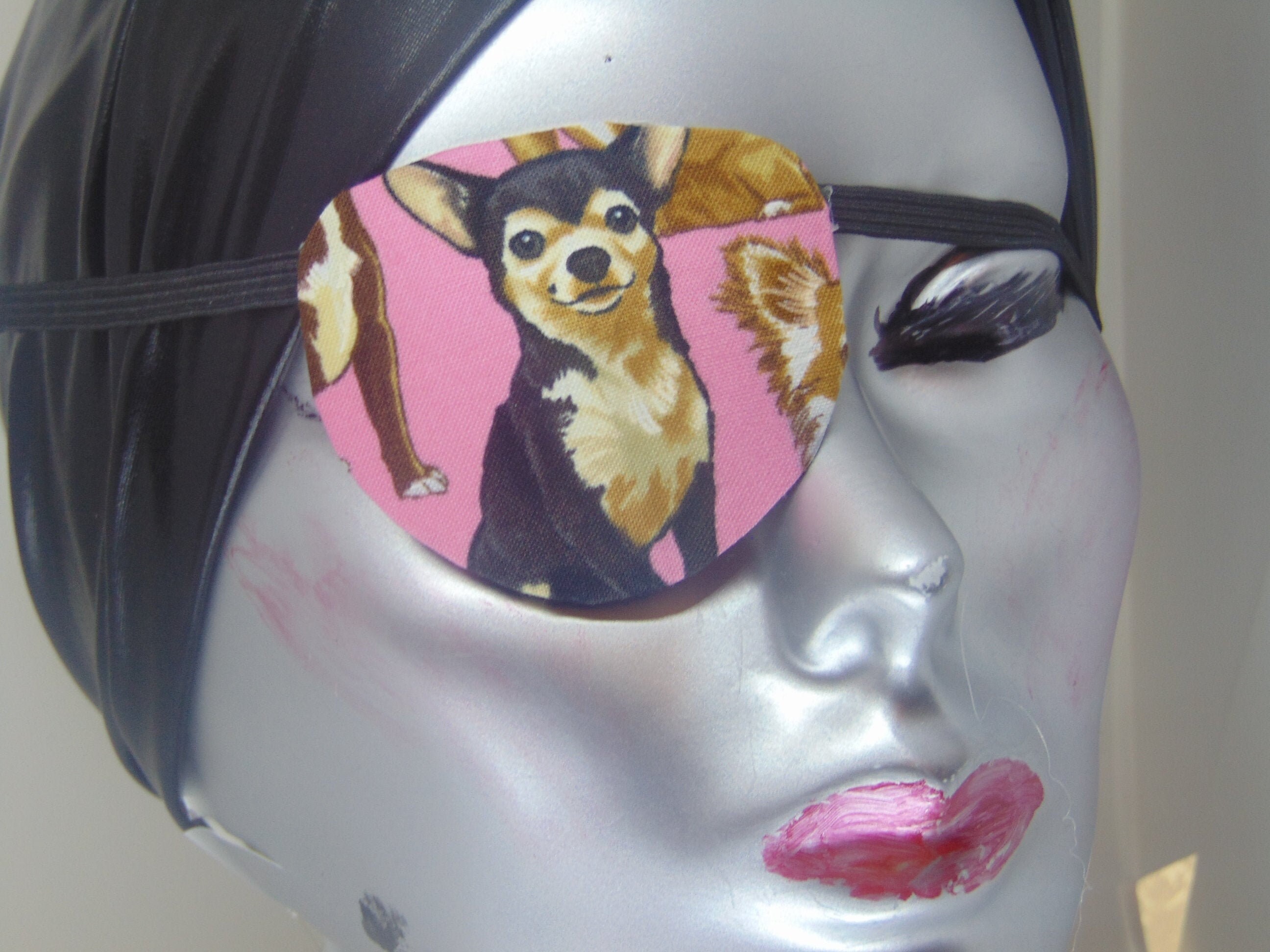 chihuahua with eye patch