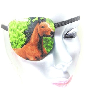 May include: A brown and black horse eye patch with a green background. The patch is worn over a mannequin's eye.
