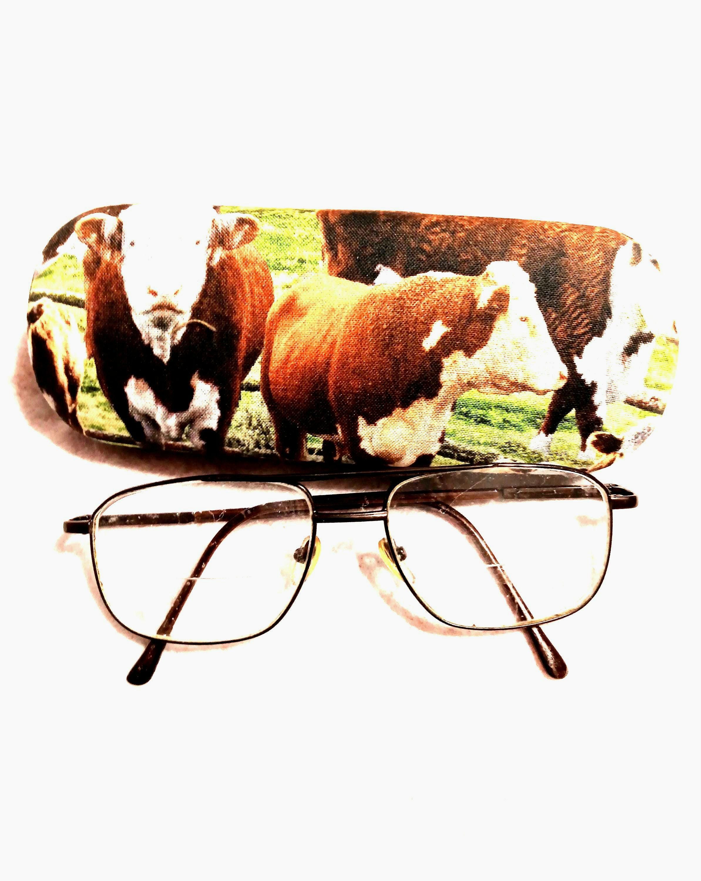 39 Best Eyeglasses Cases: Stylish and Protective Options for Your Eyewear 26 Handmade Hard Eyeglass Case, Cow Theme, Unisex Accessory fashion…