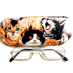 May include: Silver-framed spectacles sit beneath a glasses case adorned with a print of various cats. The case showcases a colourful design with orange, black, and white cats. The glasses have rectangular lenses and black arms.