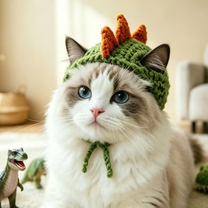 Könnte beinhalten: Eine langhaarige Katze mit blauen Augen trägt eine grüne Häkelmütze mit orangefarbenen Stacheln auf der Oberseite. Die Mütze hat zwei grüne Häkelbänder, die unter dem Kinn hängen. Die Katze hat weißes und graues Fell und eine rosa Nase.
