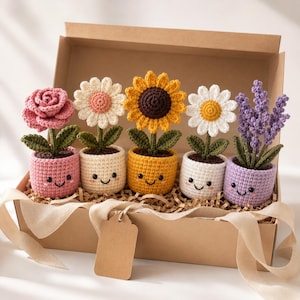 May include: Five crocheted potted plants in a cardboard gift box. The plants include a pink rose, a white daisy, a yellow sunflower, a white daisy with a yellow center, and purple lavender. Each pot features a stitched smiling face and green leaves.