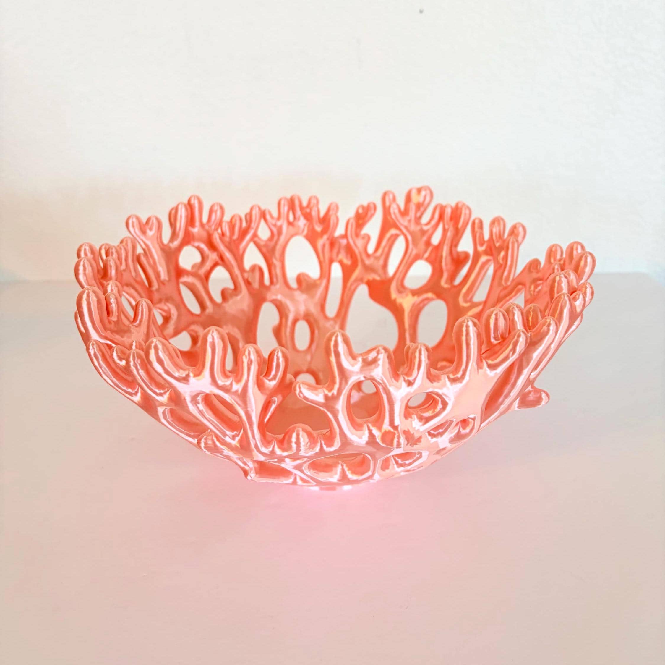 天然石　フォッシルコーラル　お皿　カービング　お花模様⭐️2822 Coral Bowl - Etsy