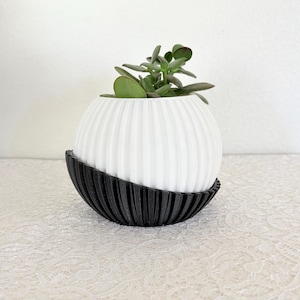 Op de afbeelding: Een witte, geribbelde, bolvormige plantenbak met een zwarte, gebogen basis, met een kleine groene vetplant. De plantenbak heeft een modern, minimalistisch ontwerp, geschikt voor binnendecoratie.