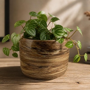 Rustic Handmade Ceramic Planter, Small Indoor Pot for Succulents or Houseplants