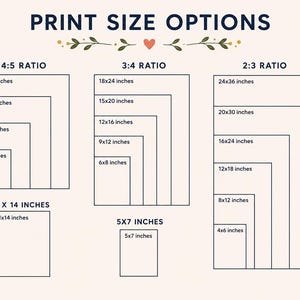 May include: Print size options chart with various rectangular sizes in inches, including 16x20, 12x15, 8x10, 4x5, 18x24, 15x20, 12x16, 9x12, 6x8, 24x36, 20x30, 16x24, 12x18, 8x12, 4x6, 11x14, and 5x7. The chart is labeled with ratios and decorated with floral elements.