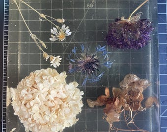 Dried Flowers in Resin