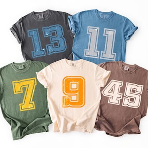 May include: Five short-sleeve crew neck t-shirts in charcoal, blue, olive green, cream, and brown. Each shirt features a large, distressed-style varsity number graphic on the front: 13, 11, 7, 9, and 45, printed in a contrasting color.