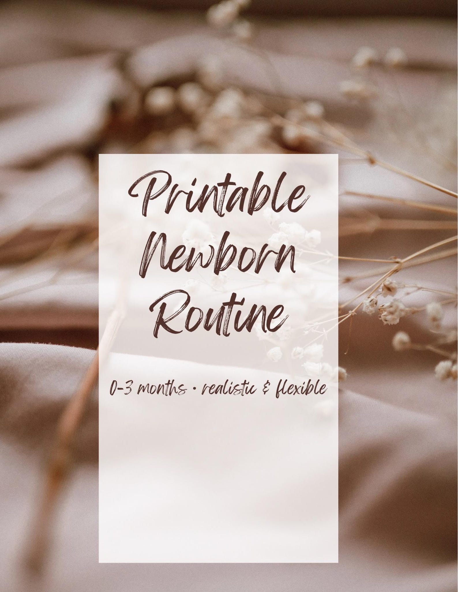 Newborn Routine Printable | Baby Schedule 0–3 Months | Wake Window ...