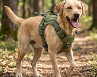 Pettorina tattica per cani, gilet anti-tiro in stile militare per cani di taglia media e grande.