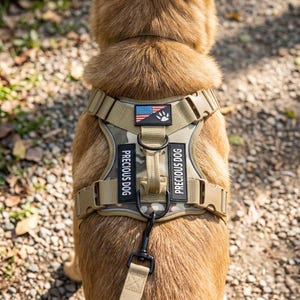 May include: A tan and camouflage dog harness with the text "PRECIOUS DOG" on both sides. The harness features an American flag patch and a paw print. The harness is secured with adjustable straps and a black metal clip.
