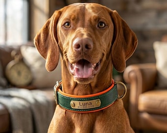 Conjunto de collar y correa de cuero personalizados para perros: placa de identificación grabada, accesorio acolchado verde grisáceo