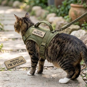 May include: An olive green tactical cat harness with a top handle and a rectangular patch that reads MANIA NAHA I'M SPECIAL. The harness features adjustable straps and a metal D-ring for a leash attachment. A matching patch is placed nearby.