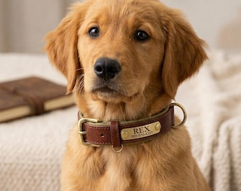 Conjunto de collar y correa de cuero personalizados para perros, con placa de identificación grabada para mascotas.