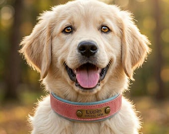 Conjunto de collar y correa de cuero personalizados para perros, accesorio para mascotas con placa de identificación grabada a medida, color rosa.