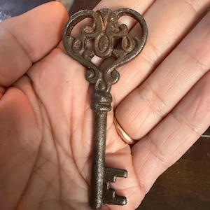 May include: A dark brown, weathered metal key featuring an ornate, heart-shaped bow with intricate cut-out detailing. The cylindrical shaft leads to a bit with two distinct rectangular teeth at the bottom, showing signs of oxidation and age.