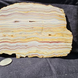 May include: A cross-section of a stone slab with a layered pattern of yellow, cream, and red hues. The natural stone has an irregular shape and a polished surface. A coin is in the foreground.