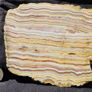 May include: A cross-section of a stone slab with a quarter for scale. The slab features layers of tan, yellow, red, and white, creating a striped pattern. The edges are rough and irregular, with a natural, organic shape.