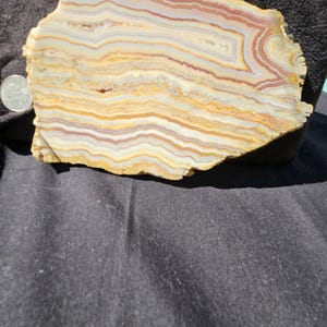 May include: A natural stone slab with a layered pattern of beige, yellow, and reddish-brown hues. The stone has a rough, irregular shape and a polished surface. The colors create a banded effect, with each layer varying in thickness. A quarter coin is next to the stone for size comparison.