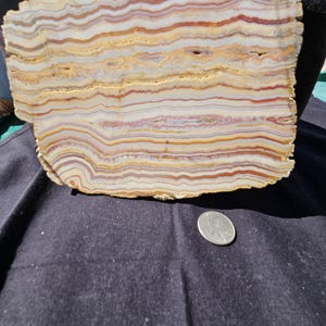 May include: A cross-section of a stone slab with a layered pattern of beige, red, and yellow bands. The natural stone has a rough, uneven edge and a polished surface. A quarter coin is next to the stone for size comparison.