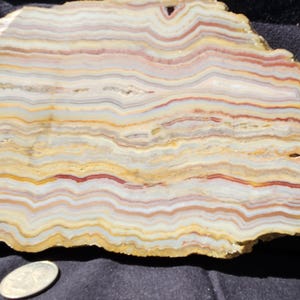 May include: A cross-section of a stone slab with layered bands of color. The stone features wavy patterns in shades of white, yellow, orange, and red. A coin is in the foreground. The stone has a rough, natural edge.