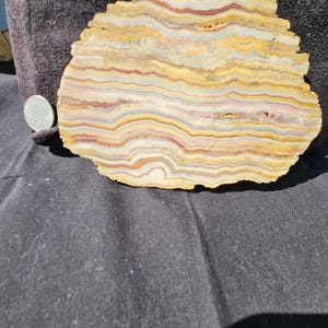 May include: A natural stone slab with a unique layered pattern of beige, yellow, red, and gray hues. The stone has an irregular, organic shape and is displayed on a dark surface. A coin is next to the stone for size comparison.