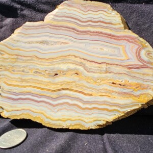 May include: A cross-section of a polished stone slab with layered bands of color. The stone features a mix of yellow, cream, red, and gray hues, creating a striped pattern. The edges are rough and natural, with a quarter coin for size reference.