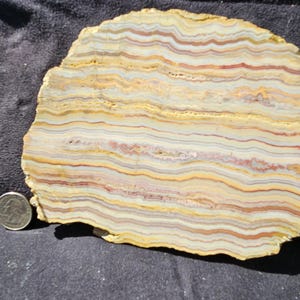 May include: A cross-section of a stone slab with a quarter for scale. The slab has a layered pattern of yellow, cream, red, and gray bands. The stone has a natural, irregular shape and a polished surface.