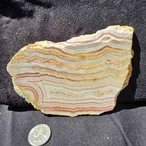 May include: A polished, layered stone slab with bands of cream, tan, orange, and red. The natural stone has a unique, organic shape. A quarter coin is next to the stone for size comparison. The stone is on a dark, textured surface.