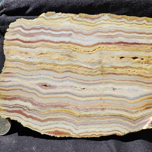 May include: A polished, irregularly shaped stone slab with layered bands of color. The bands include shades of cream, yellow, red, and gray. A US quarter coin is next to the stone for size comparison. The stone has a natural, organic appearance.