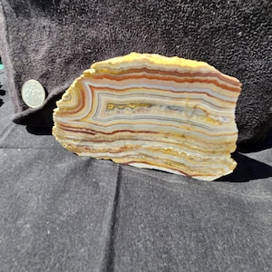 May include: A polished, layered stone specimen with bands of color including cream, yellow, orange, and brown. The stone has a natural, irregular shape and is displayed against a dark background. The stone's unique pattern is visible.