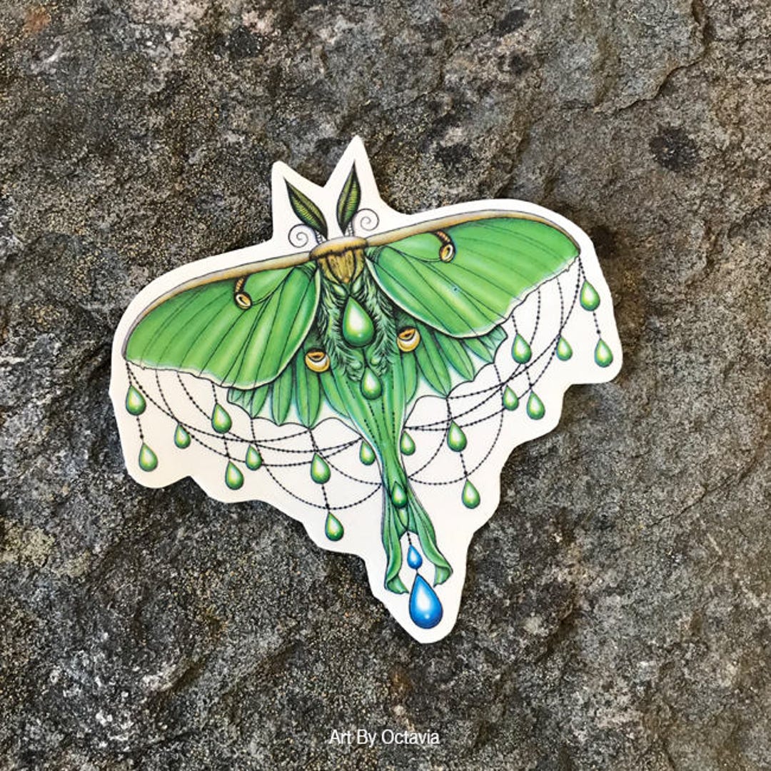 Luna Moth Moth Temporary Tattoo Luna Moth Tattoo Temporary - Etsy