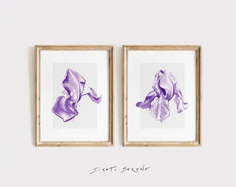 Juego de 2 bocetos de iris (descarga digital) – Arte mural de dibujos botánicos, decoración inspirada en jardines, arte floral elegante.