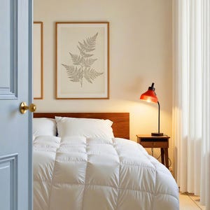 Könnte beinhalten: Schlafzimmer mit weißer Bettdecke und Kissen auf einem Bett mit Holz-Kopfteil. Eine rote Schreibtischlampe steht auf einem Nachttisch. Zwei gerahmte botanische Drucke schmücken die Wand. Der Raum wird von natürlichem Licht beleuchtet.