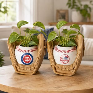 May include: Two baseball-themed ceramic planters shaped like baseballs resting inside tan leather baseball gloves. Each planter holds a green pothos plant. One planter features the Chicago Cubs logo, and the other displays the New York Yankees logo.