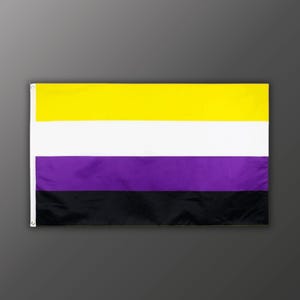 Non Binary Flagge