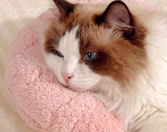 Blush Pink Crescent Cat Pillow, Soft Sherpa Headrest for Cozy Naps, Aesthetic Pet Accessory for Kittens
