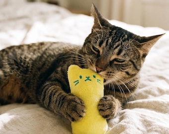 Catnip Chew Toy for Cats | Fluffy Cat Face Plush, Kitten Bite Toy, Yellow Catnip Pillow, Cute Cat Gift, Interactive Mini Toy