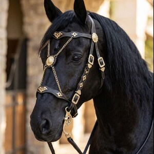 Puede incluir: Un caballo negro con una brida decorativa con detalles dorados. La brida presenta diseños intrincados, cadenas y hebillas. El pelaje del caballo es de un negro intenso, sobre un fondo exterior borroso.