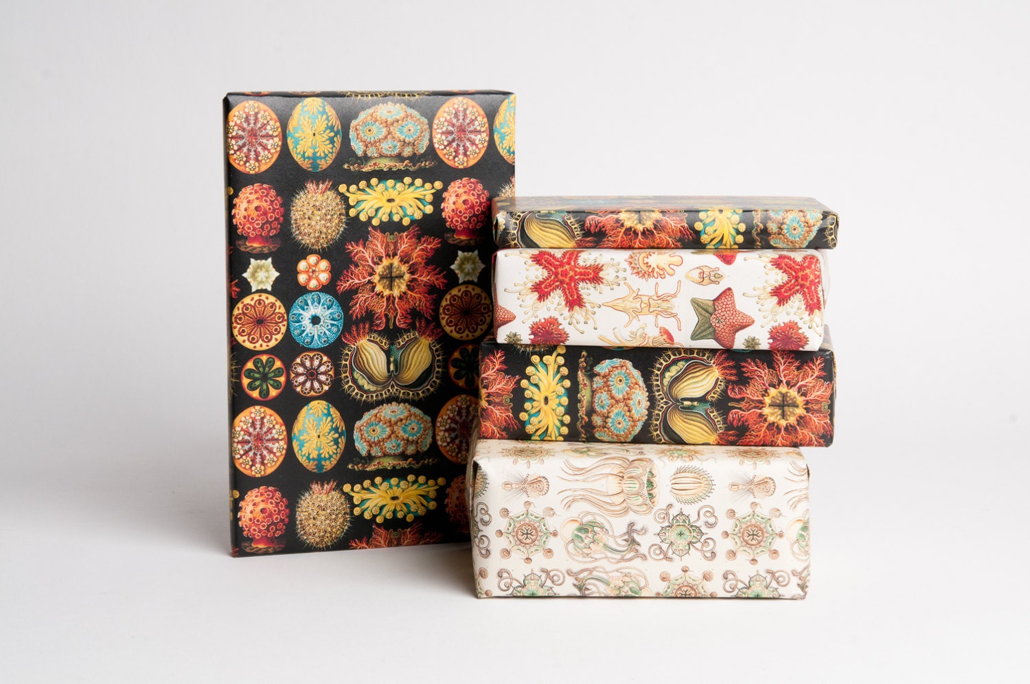 Sea Life Gift Wrap Etsy