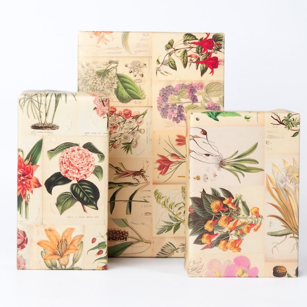 Botanical Wrapping Paper / 12 Sheets