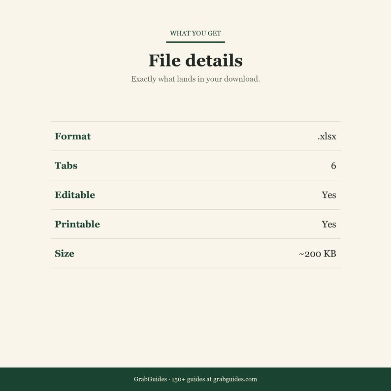 May include: A digital file details graphic with the text "File details" and "Exactly what lands in your download." The file format is .xlsx, with 6 tabs, and is editable and printable. The file size is approximately 200 KB.