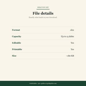 Op de afbeelding: Cr&egrave;mekleurige afbeelding met bestandsdetails. Het formaat is .xlsx, capaciteit tot 15 schulden. Bewerkbaar en afdrukbaar, grootte ongeveer 180 KB. De tekst "File details" wordt weergegeven.