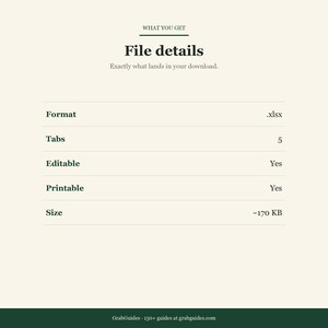 May include: A digital file details graphic with the text "File details" and "Exactly what lands in your download." The file format is .xlsx, with 5 tabs, editable, printable, and approximately 170 KB in size.