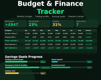 Budget Tracker Spreadsheet Google Sheets | Monthly Finance Planner | Savings Goals Tracker | Financial Freedom Planner | Digital Download