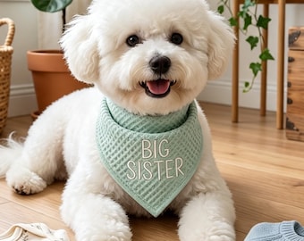 Custom Big Brother Dog Bandana, Pregnancy Announcement Pet Scarf, Promoted to Big Sister, Embroidered Baby Reveal Photo Prop, New Baby Sign