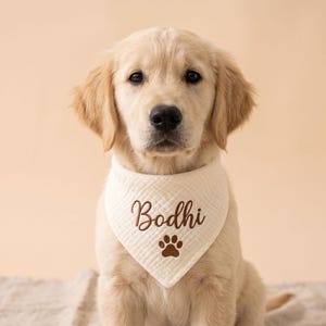Puede incluir: Un cachorro de color crema claro lleva un pañuelo triangular texturizado de color blanco roto. El pañuelo presenta el nombre Bodhi bordado en marrón con letra cursiva, colocado directamente sobre un pequeño icono de huella bordado en marrón.