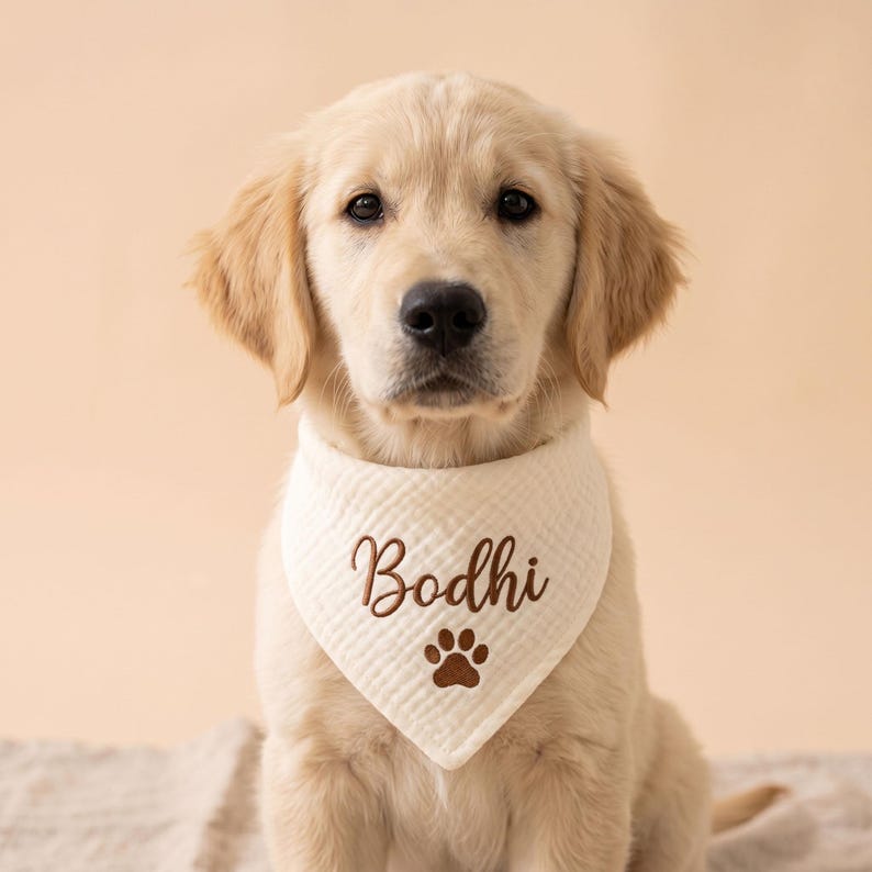 May include: A light cream-colored puppy wearing a triangular, textured off-white bandana. The bandana features the embroidered brown name Bodhi in a cursive script, positioned directly above a small, solid brown embroidered paw print icon.
